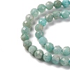 Natural Amazonite Beads Strands G-G140-A18-03-A-4