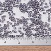 MIYUKI Delica Beads X-SEED-J020-DB1789-4