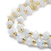 Natural Aquamarine Beads Strands G-P463-20-4