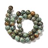 Natural Turquoise Beads Strands G-P506-04D-01-2