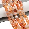 Natural Red Agate Beads Strands G-A248-A06-04-2