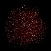 Luminous Glass Seed Beads SEED-A033-07J-5