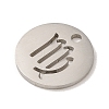 Non-Tarnish 201 Stainless Steel Charms STAS-E217-10P-01-2