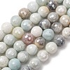 Electroplated Natural Flower Amazonite Beads Strands G-B191-A03-10mm-2