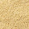 MIYUKI Round Rocailles Beads SEED-G009-RR0493-3