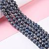 Natural Blue Calcite Beads Strands G-K317-A22-2