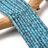 Dyed Synthetic Turquoise Beads Strands G-Z089-A04-Q-2