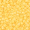 6/0 Luminous Glass Seed Beads SEED-NH0001-01L-4