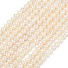 Natural Cultured Freshwater Pearl Beads Strands PEAR-L034-06D-2