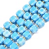 Natural Howlite Beads Strands G-C025-01B-1