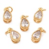 Real 18K Gold Plated Brass Inlaid Cubic Zirconia Charms ZIRC-L100-077G-01-1