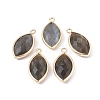 Natural Labradorite Pendants G-L514-023G-1