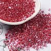 Glass Seed Beads SEED-K009-08B-03-1