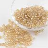 Round Glass Seed Beads X-SEED-A006-4mm-102-1