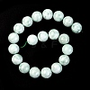 Natural Glass Beads Strands G-I247-31H-6