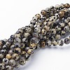 Natural Dalmatian Jasper Beads Strands GSR6mmC004-2