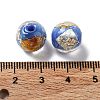 Handmade Lampwork Bead LAMP-H065-01H-4