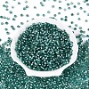 Silver Lined Glass Seed Beads SEED-T007-18A-07-2