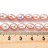 Natural Cultured Freshwater Pearl Beads Strands PEAR-P062-29G-5