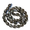 Natural Labradorite Beads Strands G-P544-D06-01-3