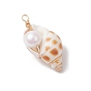 Natural Shell Pendants PALLOY-JF03226-5