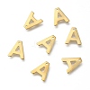 304 Stainless Steel Charms LS-X-STAS-P141-A-2