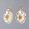 Alloy Resin Dangle Earrings EJEW-JE03560-1