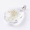 Glass Dried Flower Pendants GLAA-K018-E-2