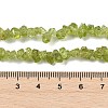 Natural Peridot Beads Strands G-P332-48-01-3