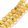Natural Amber Beads Strands G-K308-C01-6mm-3