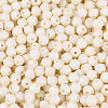 Baking Paint Pearlized Glass Seed Beads SEED-T007-21A-01-2