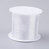 Fishing Thread Nylon Wire LS-NWIR-G015-0.3mm-01-1