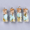 Glass Wishing Bottle Pendant Decorations X-GLAA-S181-09-3