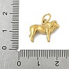 304 Stainless Steel Pendants LS-STAS-P391-01E-G-3