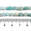 Natural Amazonite Beads Strands G-P497-01B-18-5