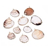 Electroplate Natural Sea Shell Pendants SSHEL-Q100-17KCG-1