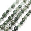 Natural Green Rutilated Quartz Beads Strands G-C179-F07-02-1