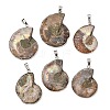 Snail Fossil Pendants G-D051-1-1