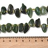 Natural Canadian Jade Beads Strands G-P604-A03-01-2
