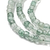 Natural Green Strawberry Quartz Beads Strands G-H042-B11-01B-4