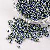12/0 Opaque Colours Seep Glass Beads SEED-M008-C12-1