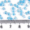 8/0 Glass Seed Beads SEED-A014-3mm-133B-4