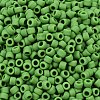 TOHO 6/0 Round Beads X-SEED-TR06-0047F-3