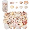 Natural Sea Shell Beads Kits SSHEL-PH0002-49-3