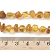 Natural Amber Beads Strands G-L095-E01-07-5