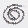 Natural Labradorite Round Bead Strands G-I156-06-6mm-2