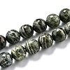 Natural Green Zebra Jasper Beads Strands G-L574-05C-1