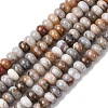 Natural Gobi Agate Beads Strands G-F668-07-A-2