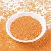 MIYUKI Round Rocailles Beads SEED-X0054-RR0253-2