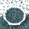 Transparent Inside Colours Glass Seed Beads SEED-T007-19A-07-1